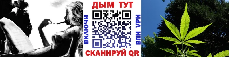 Шишки марихуана гибрид  Прокопьевск 